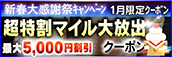 【１月限定】超特割★マイル大放出クーポン